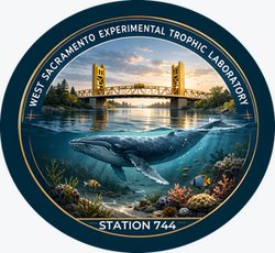 Creatures of the Deep logo — marine science card game